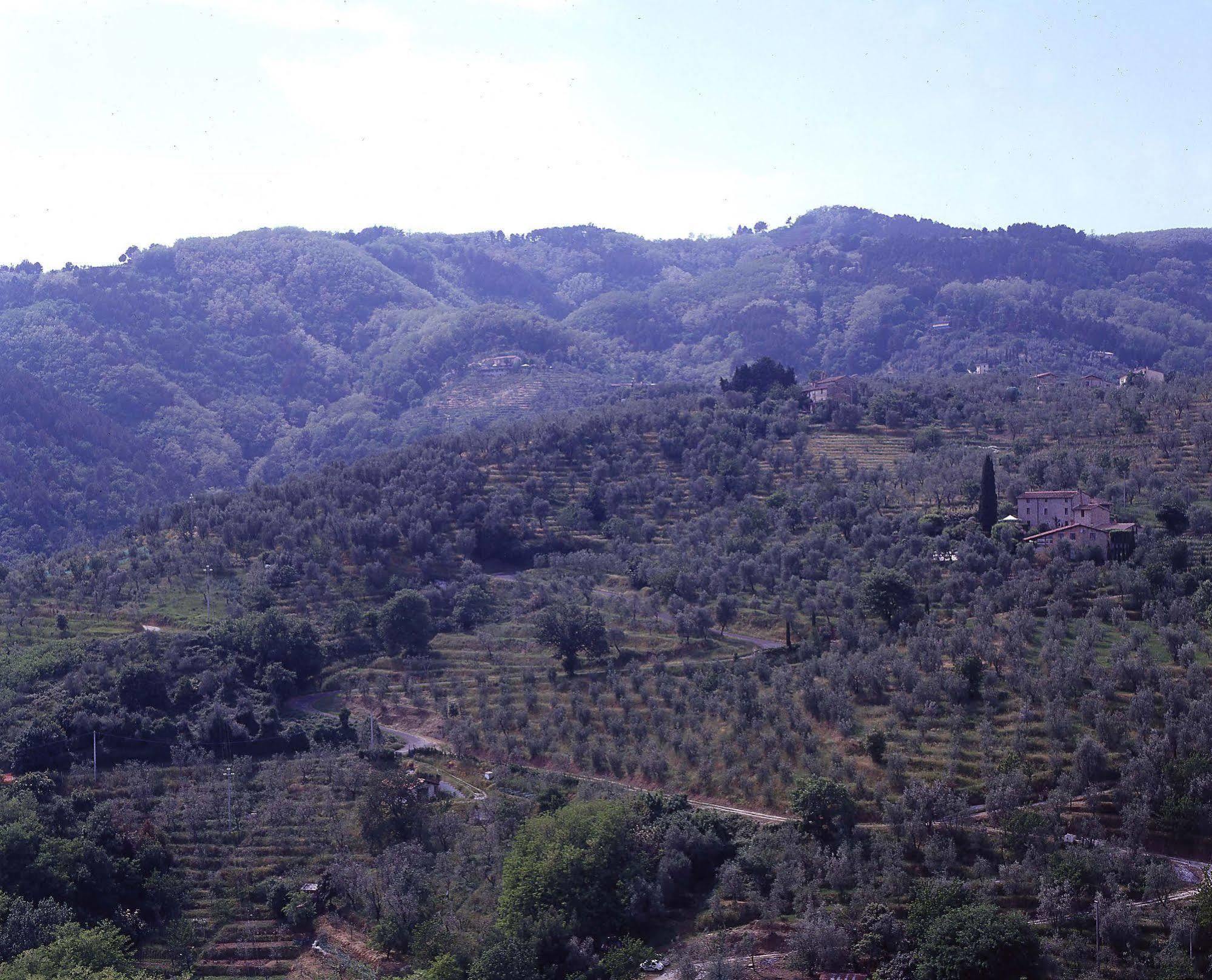 Antica Casa "Le Rondini" Bed and Breakfast Borgo a Buggiano Εξωτερικό φωτογραφία
